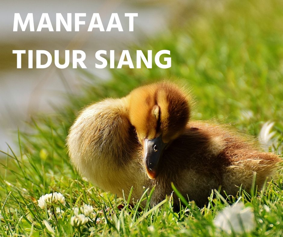 Doa Sebelum Tidur Siang
